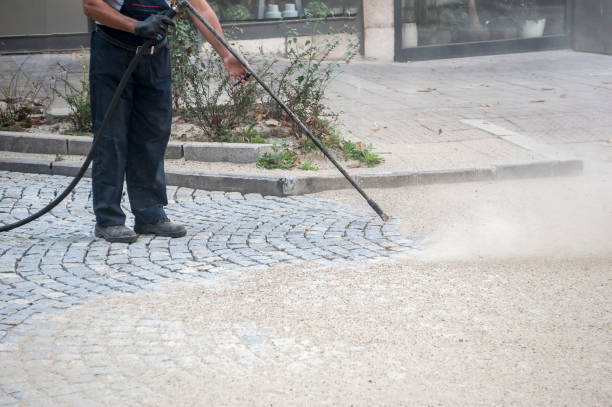 Best Driveway Pressure Washing  in Ambler, PA